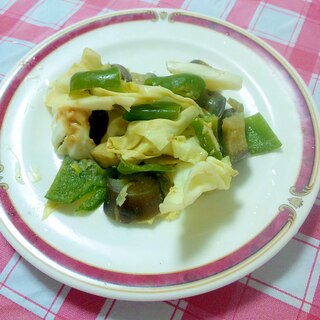 野菜たっぷり♪なす＆キャベツ＆ピーマンごまみそだれ